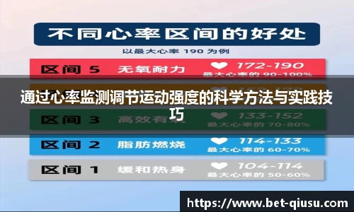 球速体育