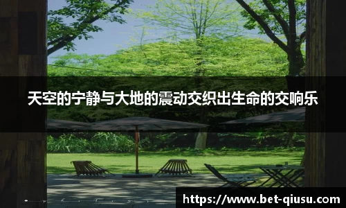 天空的宁静与大地的震动交织出生命的交响乐